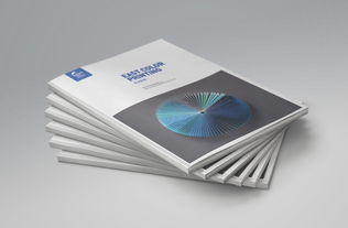 一希品牌設(shè)計(jì) 東方彩印公司文化宣傳冊(cè)設(shè)計(jì)